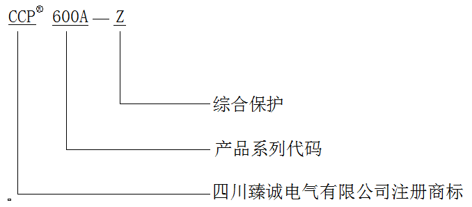 CCP600A命名規(guī)則.png