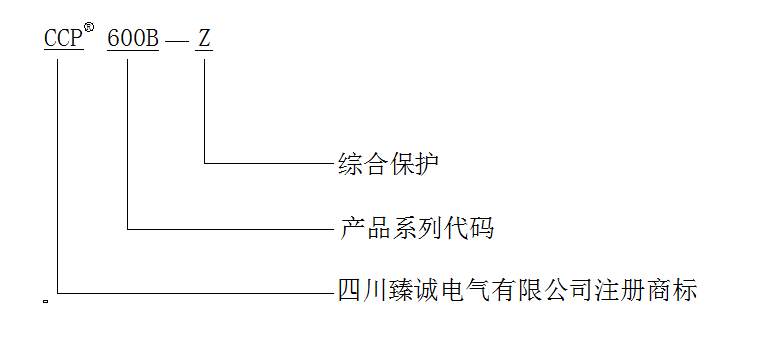 CCP600B命名規(guī)則.png